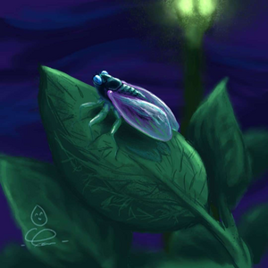 Illustration of cicada